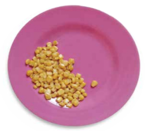 portion_size_food_0027_canned sweatcorn