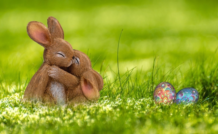 Easter Bunnies